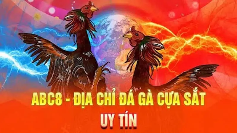 Các loại hình đá gà phổ biến tại ABC8